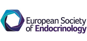 Endo-ERN